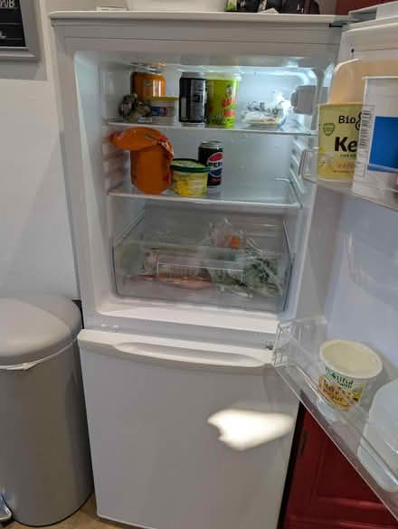 Photo of free Fridge freezer (Minions) #3