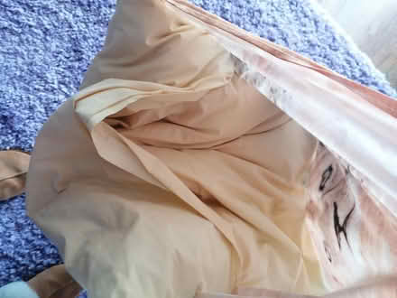 Photo of free Large cushion (Presteigne LD8) #3
