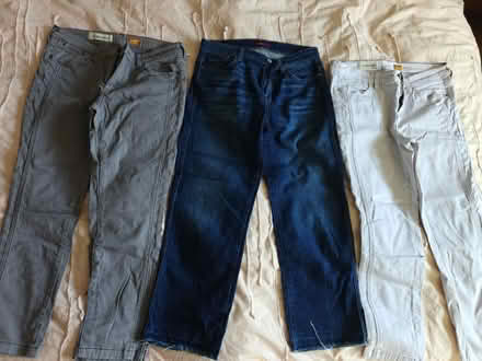 Photo of free Capris - Size 6/8 (Near 92nd and Sheridan) #1