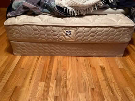 Photo of free Queen Sealy Mattress /Box Spring (Easthampton) #1