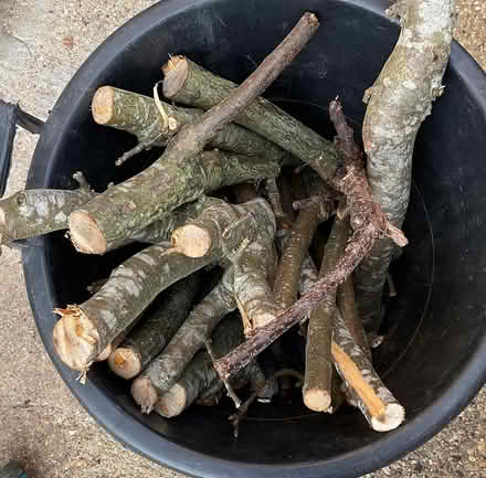 Photo of free Logs from apple tree (New Barnet EN4) #1