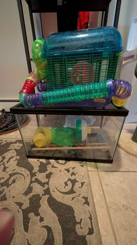 Photo of free mouse/small rodent cages (mid Fort Collins) #1