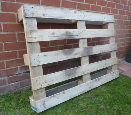 Photo of free Wooden pallet (Northcourt OX14) #2