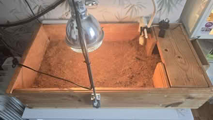 Photo of free Tortoise table (Bellingham SE6) #1