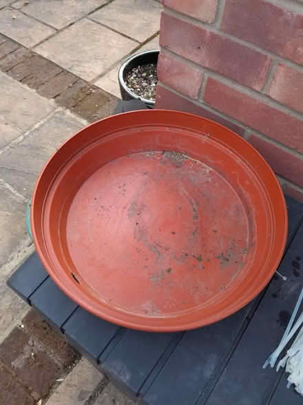 Photo of free Large garden container (Earley RG6) #1