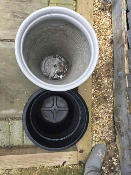 Photo of free 2 x plant pots (SG18) #1