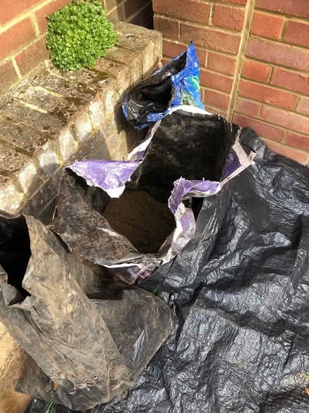 Photo of free Builder’s Sand (KT15. Woodham.) #2