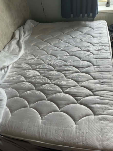 Photo of free velvet crushed double bed mattress (Rainham RM13) #3
