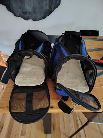 Photo of free 2 Small Cat Carriers (Queen Anne) #1
