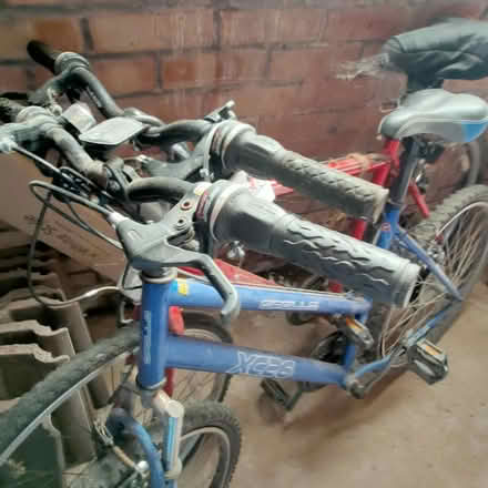 Photo of free Two adults bikes (Denstone, Uttoxeter. ST14) #3