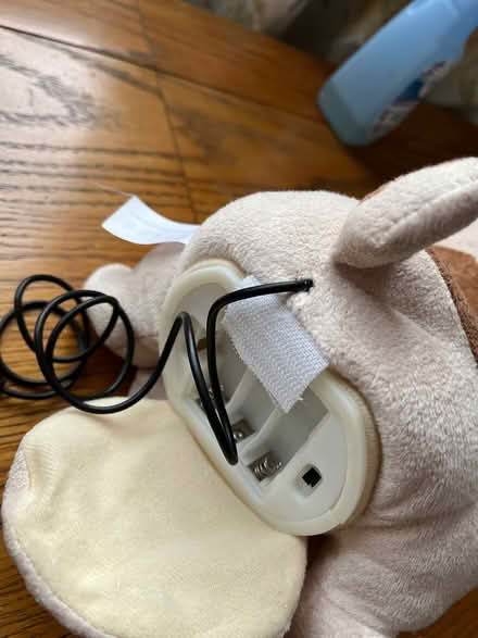 Photo of free Toy dog (Newport Pagnell, MK16) #4