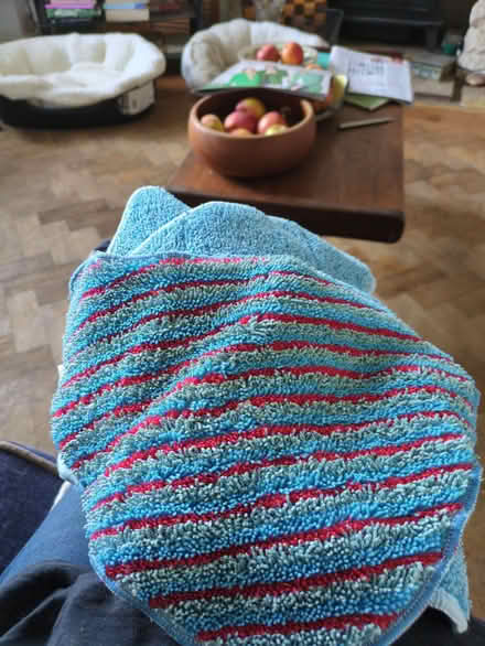 Photo of free 4 microfibre steam cleaner mop replacements. (Cowley OX4) #2