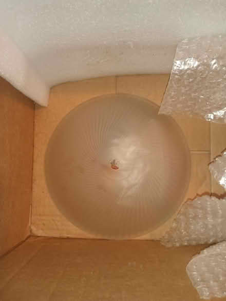 Photo of free BoobLightFixture (Yeadon) #1