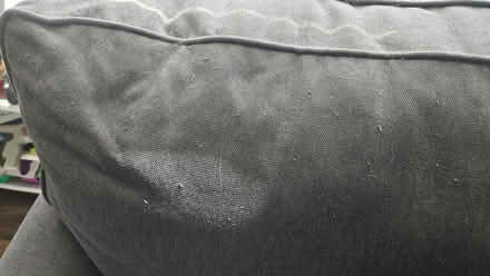 Photo of free Sectional (Streamwood near HS) #4