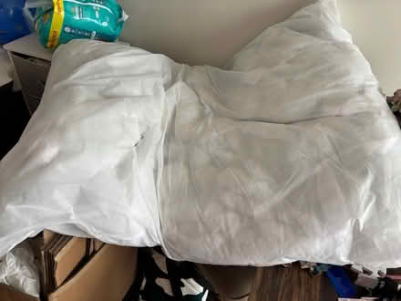 Photo of free XL dog bed inner/stuffing (Chatham) #1