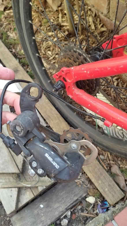 Photo of free Frog bike - spares or repair (SW11 5) #2