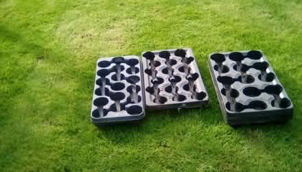 Photo of free Plant trays and plant pots (Priorslee TF2) #1