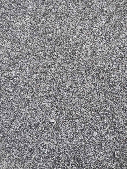 Photo of free Carpet off-cuts x 2 (Sheddingdean RH15) #1