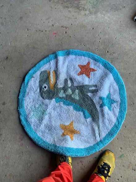 Photo of free 2 spider plants and a kids rug (North walbottle NE5) #1