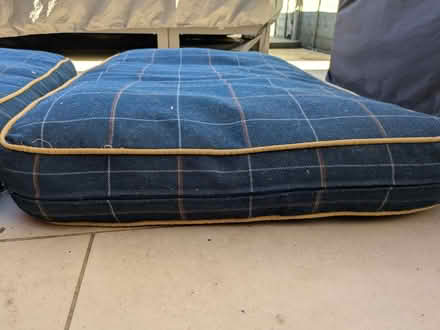 Photo of free 2 x large dog beds (Grove Park SE9) #2