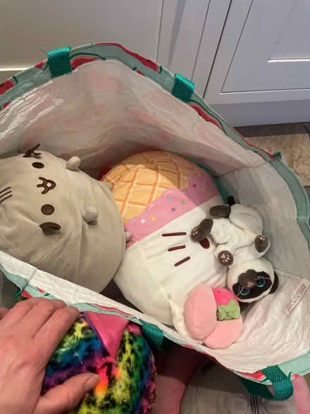 Photo of free Bag of cuddles (Northlands Wood) #3