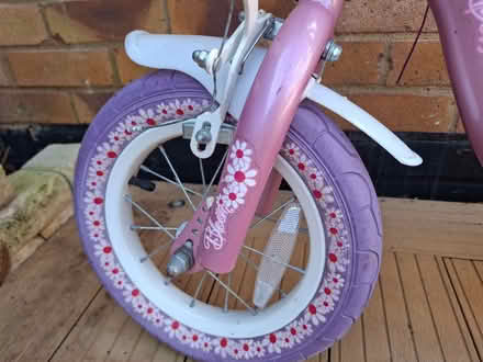 Photo of free Girls Bike 12inch Wheel (Seaside BN23) #3