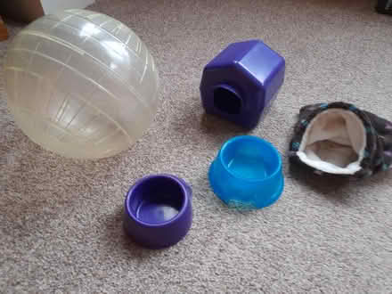 Photo of free Hamster accessories (Mayfield EH9) #2