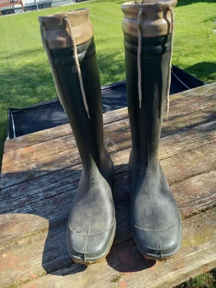 Photo of free Size 7 wellies (Bowers Gifford SS13) #1