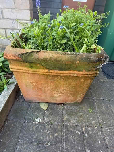 Photo of free Terracotta pots (Carshalton) #4