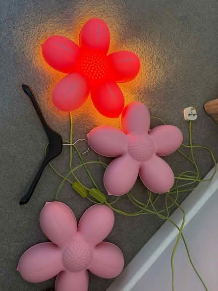 Photo of free Fun flower lights (North of Romsey SO20) #4
