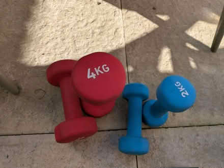 Photo of free Weights (Barden Lake TN9) #2