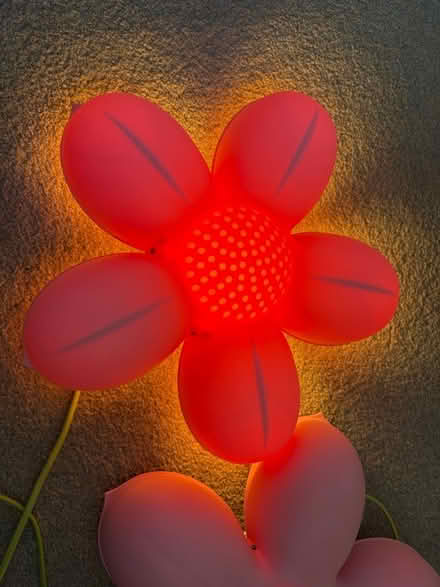 Photo of free Fun flower lights (North of Romsey SO20) #3