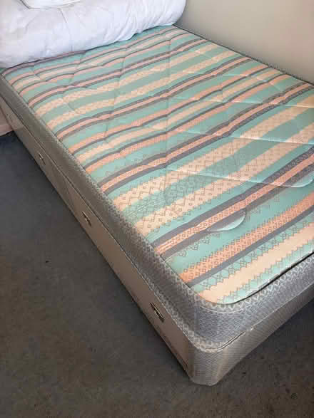Photo of free Single bed (West Worthing BN13) #1