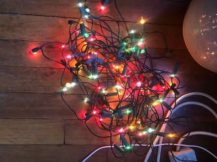 Photo of free Christmas lights (Liphook GU30) #1