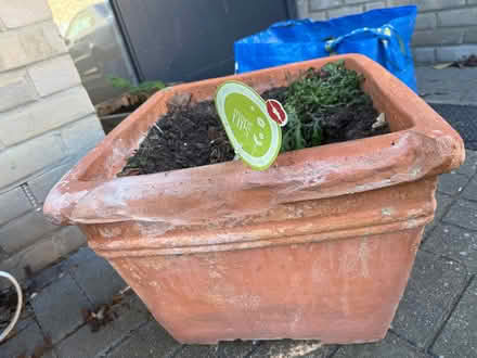 Photo of free Terracotta pots (Carshalton) #2