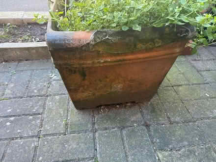 Photo of free Terracotta pots (Carshalton) #3