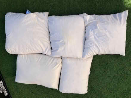 Photo of free 5 Cushions (Grafton area Cambridge CB1) #1