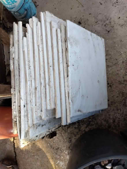 Photo of free 13 used white tiles (Mickleover DE3) #2