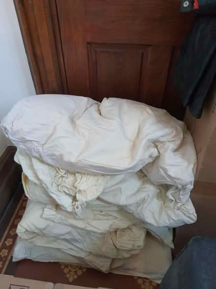 Photo of free Feather-filled pillows (Stroud central) #1