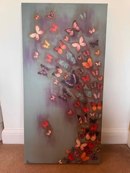 Photo of free Butterfly Canvas (Witham CM8) #2