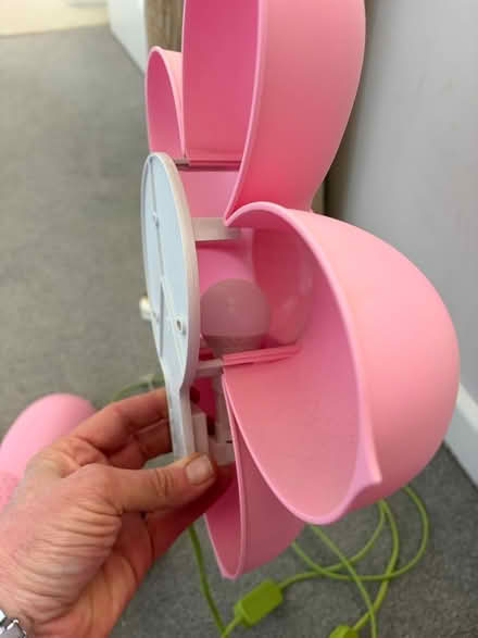 Photo of free Fun flower lights (North of Romsey SO20) #2