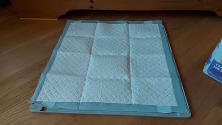 Photo of free Puppy training pads, mat and dry puppy food (Lupton LA6) #2