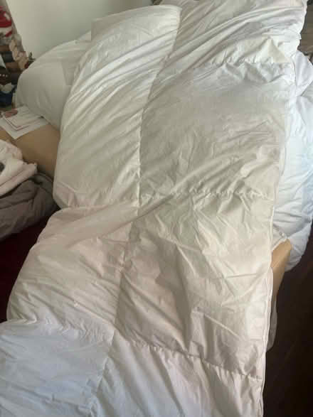 Photo of free King Size Duvet (WC1X) #1