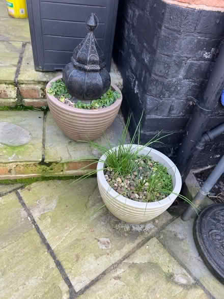Photo of free Garden pots (3) (West Bridgford NG2) #2