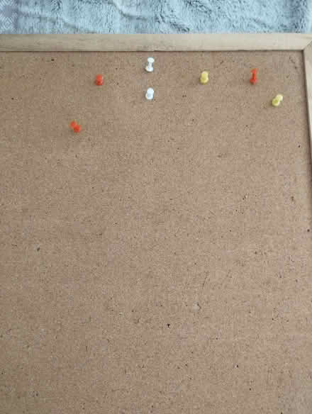 Photo of free Pin Board (CO7) #1