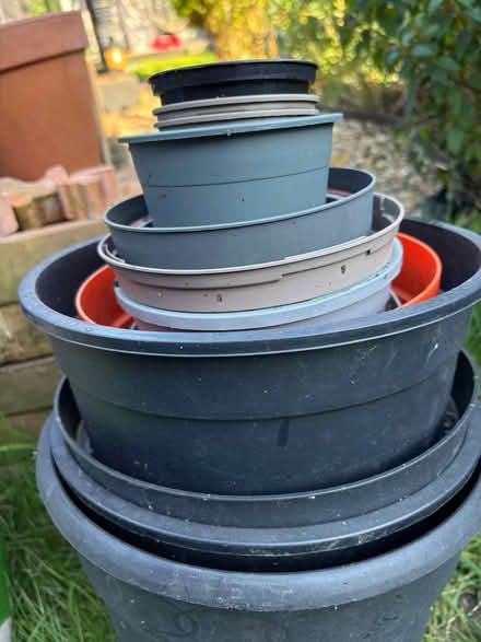 Photo of free Variety plant pots (Roffey RH12) #3