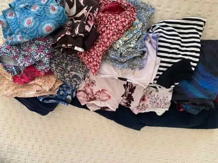 Photo of free Bundle of clothes - size 16 (Pirbright GU24) #1