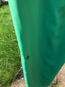 Photo of free size 8 green jumpsuit - new (Liverpool) #4