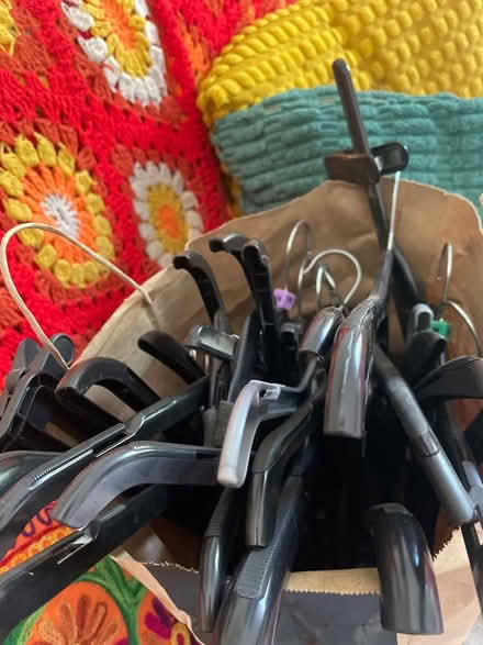 Photo of free Coat hangers (Clive Vale TN35) #1