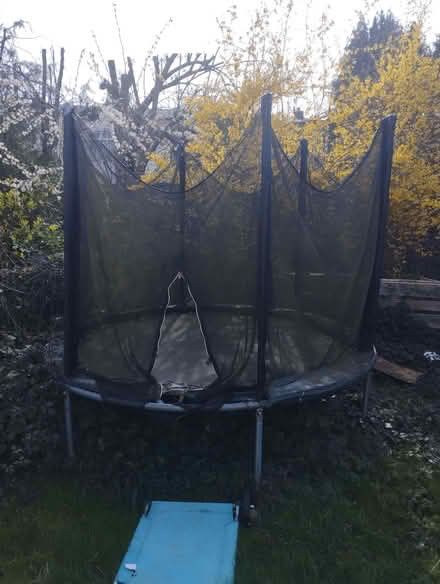 Photo of free Trampoline (Rose Hill OX4) #1